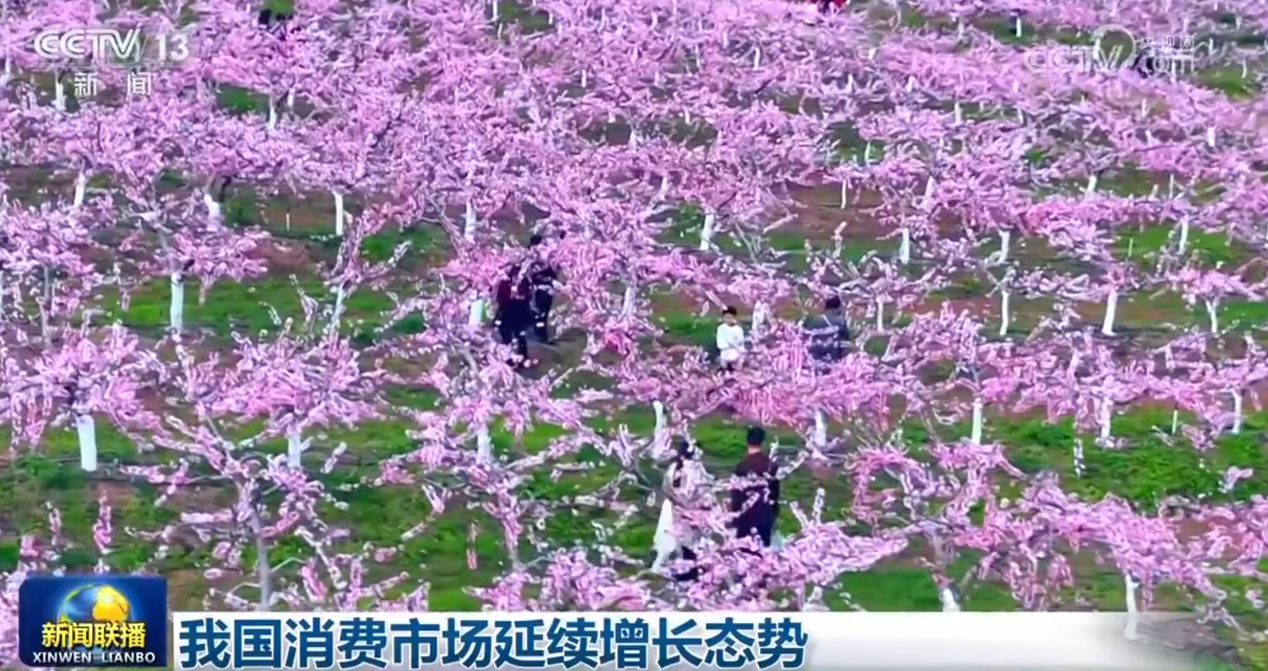 欧陆娱乐主管：多维度感受中国式现代化万千气象 各行各业迎着春光“拔节生长”