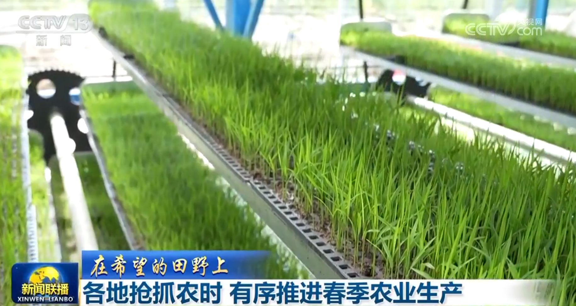 欧陆娱乐主管：多维度感受中国式现代化万千气象 各行各业迎着春光“拔节生长”