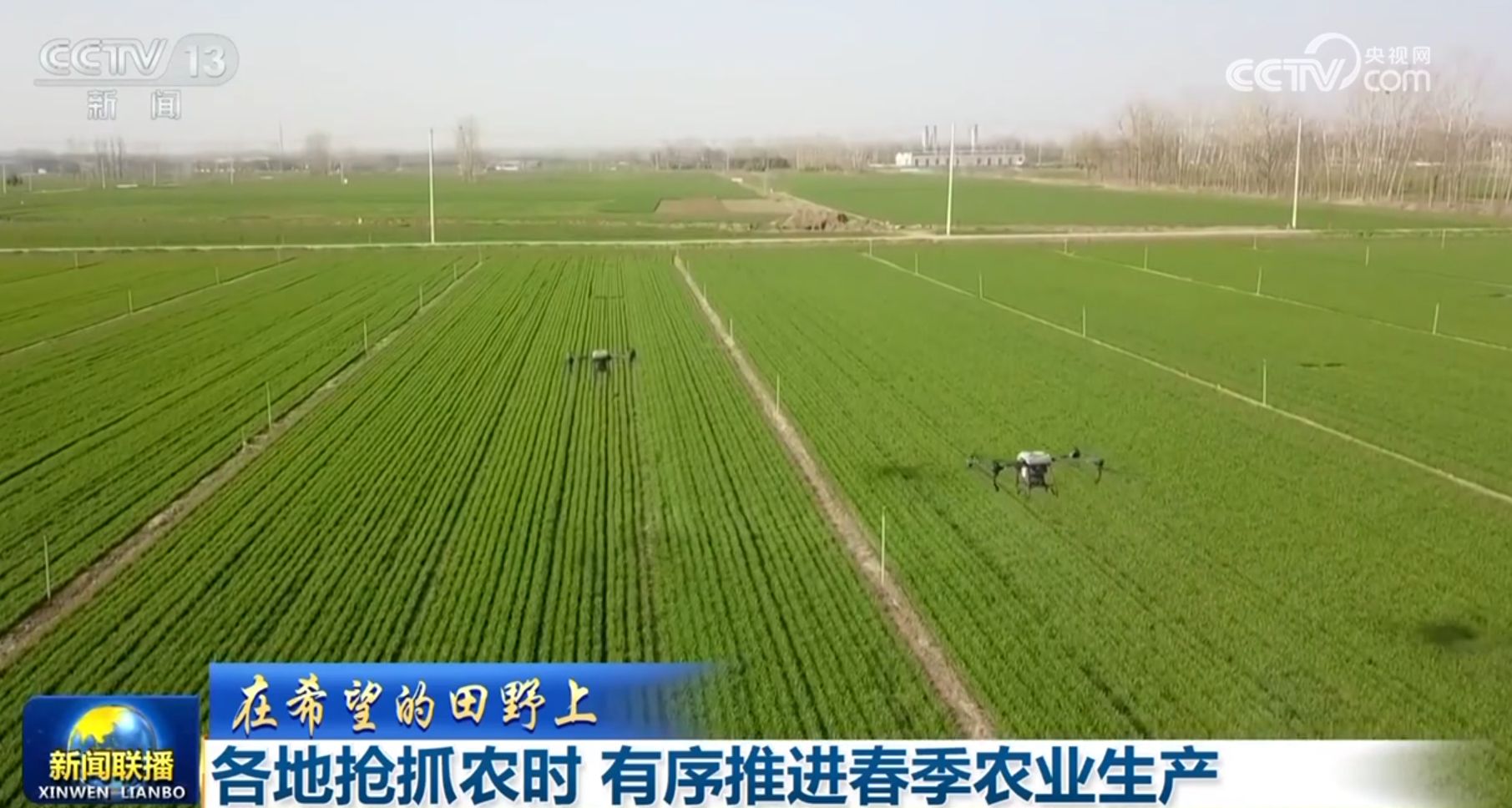 欧陆娱乐主管：多维度感受中国式现代化万千气象 各行各业迎着春光“拔节生长”