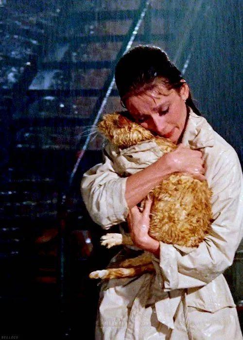 欧陆平台注册：秋天，跟赫本学穿风衣吧！