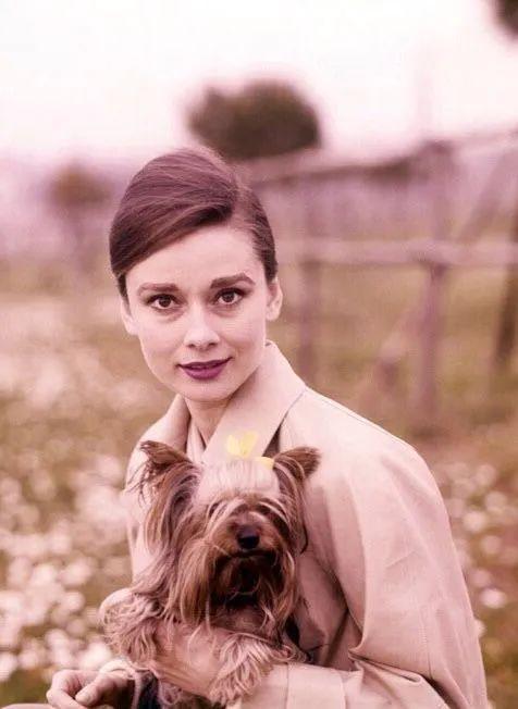 欧陆平台注册：秋天，跟赫本学穿风衣吧！