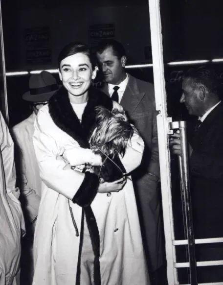 欧陆平台注册：秋天，跟赫本学穿风衣吧！