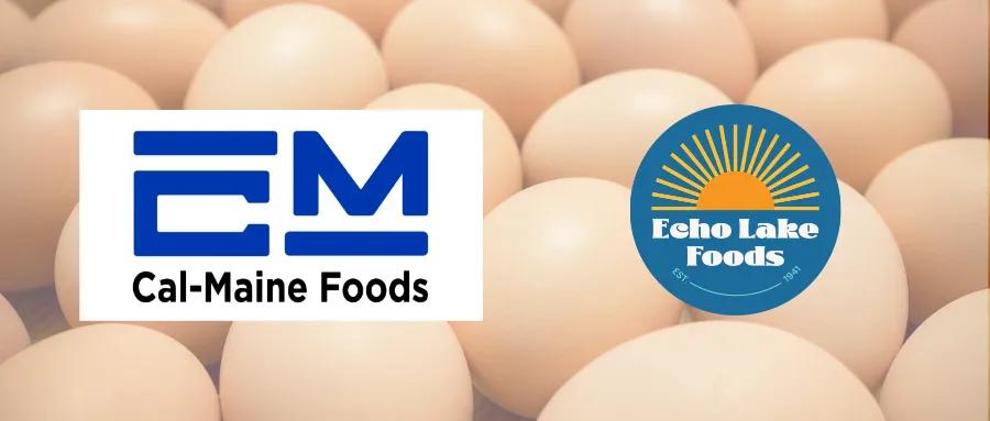 欧陆平台官方：全球最大鸡蛋生产商转向高端鸡蛋业务，缓冲蛋价下跌冲击